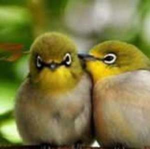 Meet your Posher, Gui